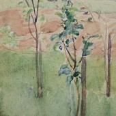 Молодое дерево в саду, 1939 (?)